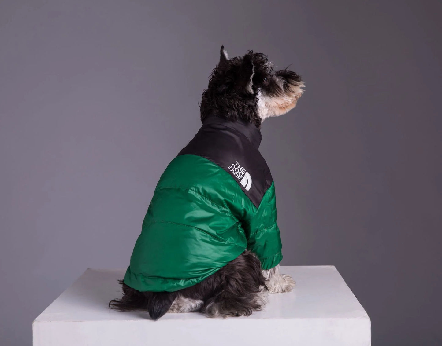 Waggle World - The Dog Face Doggy Designer Jacket