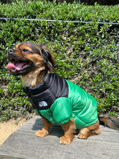 Waggle World - The Dog Face Doggy Designer Jacket