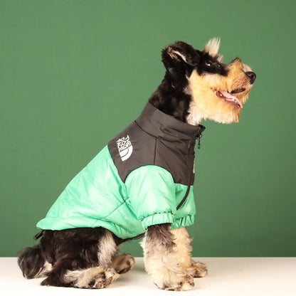 Waggle World - The Dog Face Doggy Designer Jacket