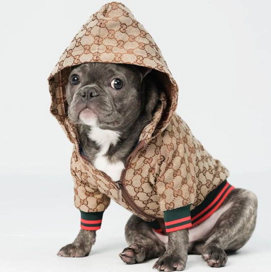 Waggle World - Gucci Doggy Designer Jacket