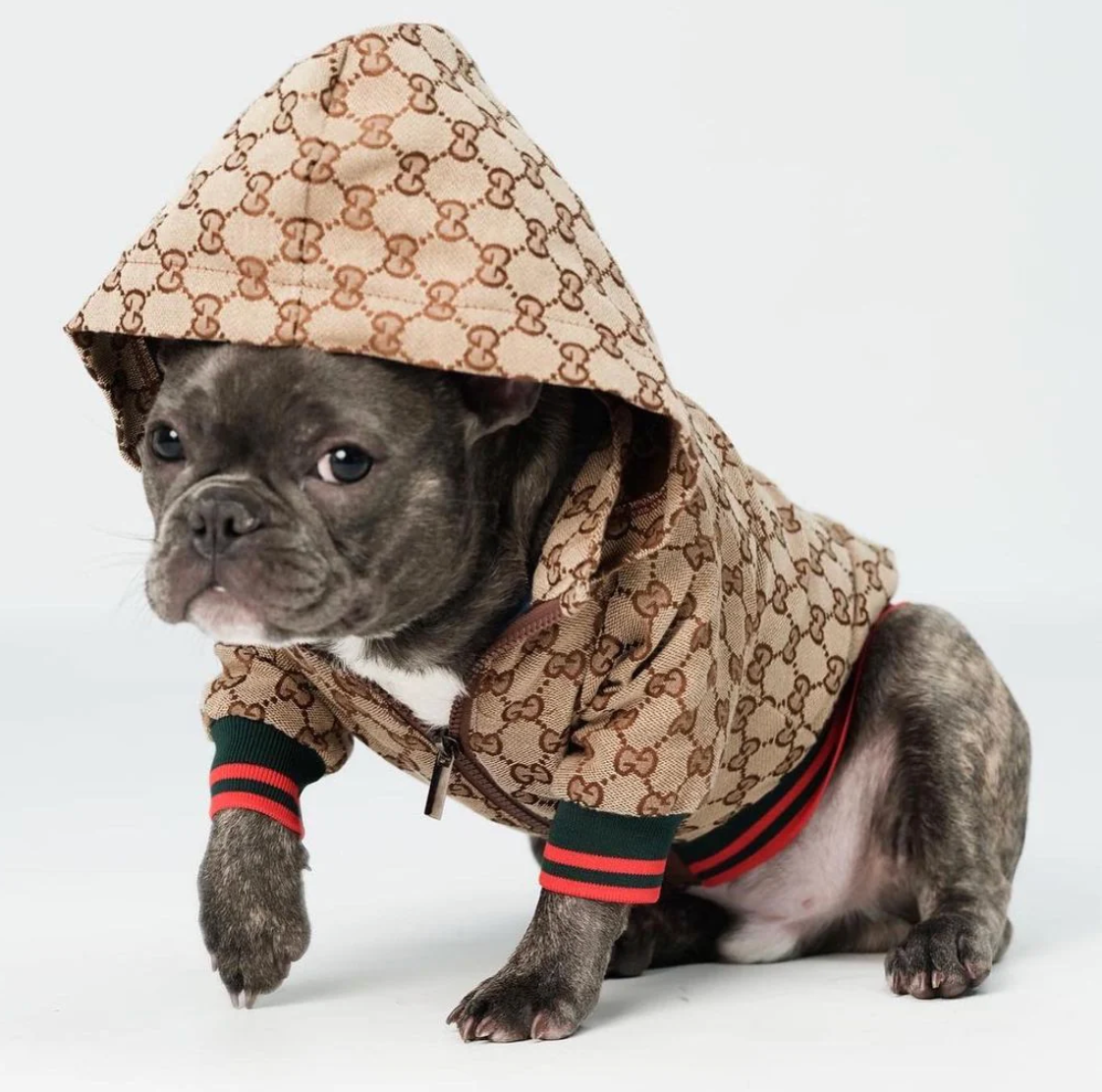 Waggle World - Gucci Doggy Designer Jacket